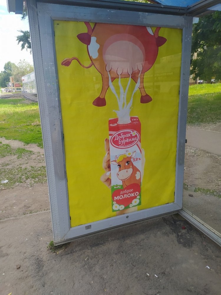 Реклама молока в Саратове