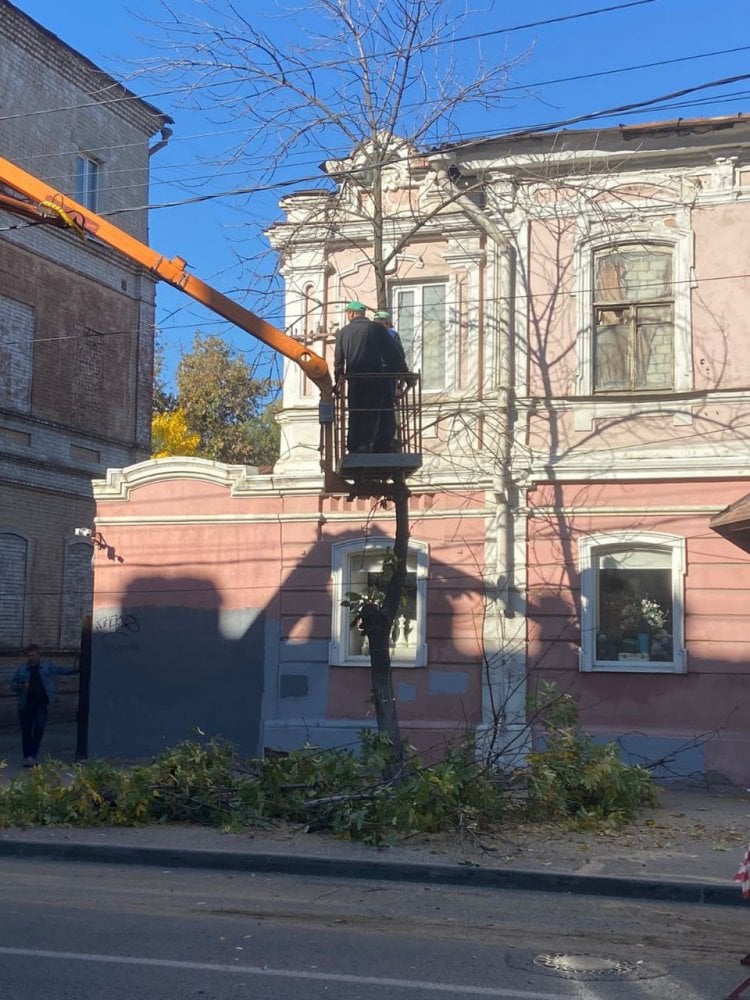 На Вольской в Саратове начался спил деревьев