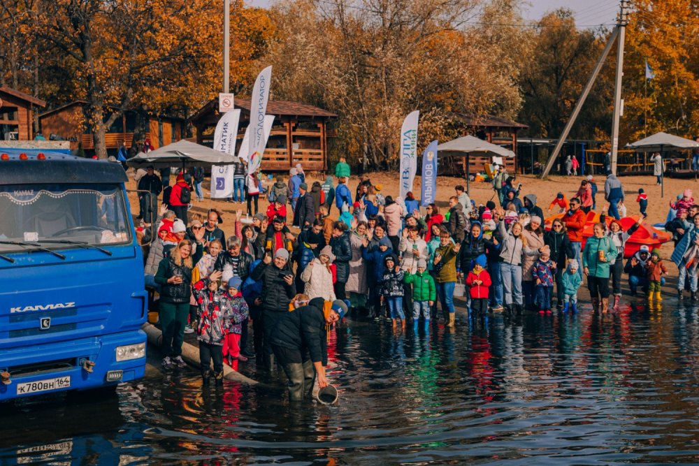 Водорослям крышка