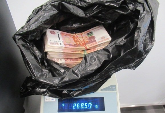 Собака Грета нашла у пассажира в саратовском аэропорту более миллиона незадекларированных рублей