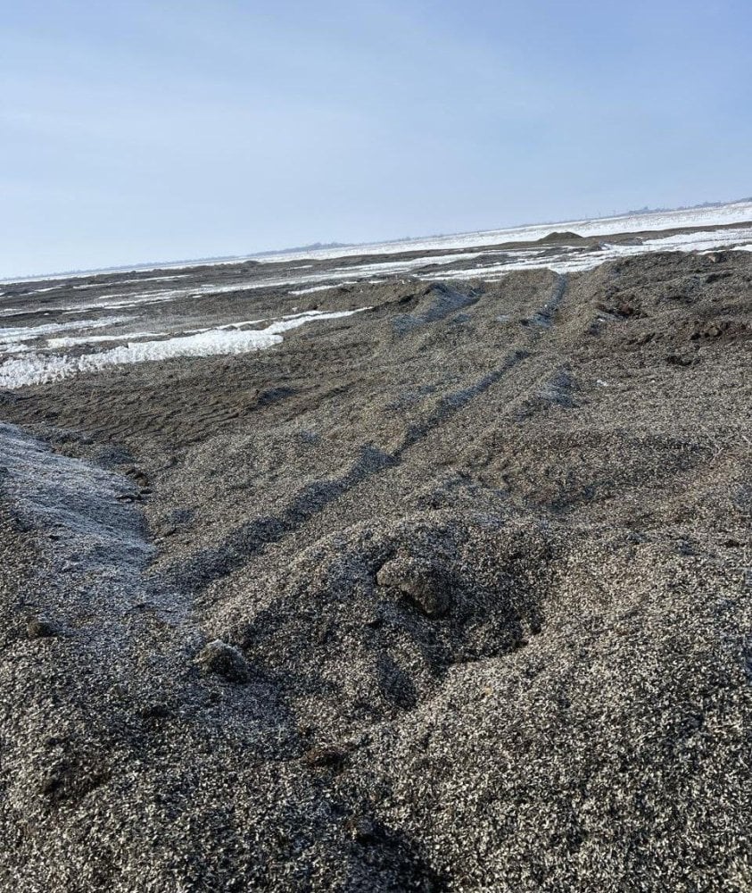 Шелуха семян подсолнечника в Балаковском районе