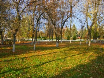 В Балашове Совет депутатов и прокуратура не поделили зеленый фонд города