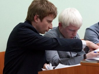 Фокстерьеры честных выборов