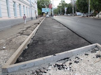 Эколог Спирягин о вырубке деревьев на Московской: «Наверное кто-то Грищенко обижал в детстве»