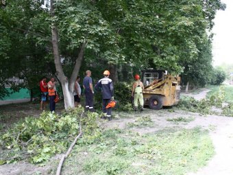 Жильцы одного из домов в Заводском районе остановили работы по спиливанию деревьев
