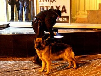 Во время концерта фэшн-группы «KAZAKY» в ночном клубе искали бомбу