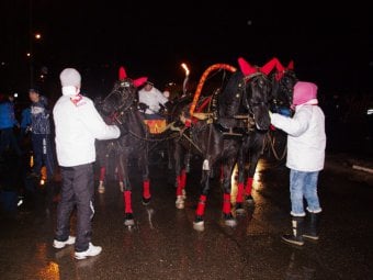 На Соколовой горе во время передачи Олимпийского огня один из коней встал на дыбы