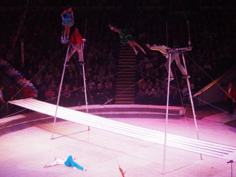 Фестиваль «Принцесса Российского цирка» потеряет одно слово из своего названия