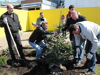 Чиновники, депутаты и общественники посадили деревья на новой набережной Саратова