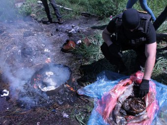 Саратовские наркополицейские сожгли полсотни килограммов наркотиков