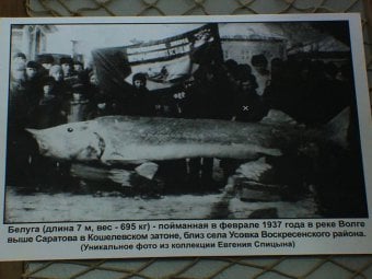 В музее краеведения отметили Всемирный день рыболовства