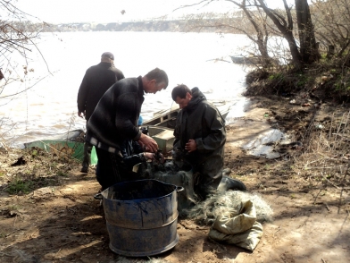 В Духовницком районе в отношении рыбаков-браконьеров возбудили пять уголовных дел