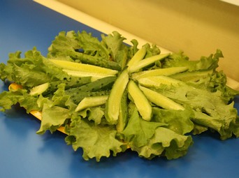 Представитель «огурцового гиганта» заявил о нездоровом ажиотаже вокруг свежих овощей