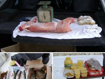 В Ершове у нелегальных торговцев отобрали пять тушек кроликов и 50 килограммов рыбы