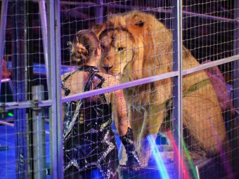 В Саратове стартовала новая цирковая программа «Марица и Дан Запашные»