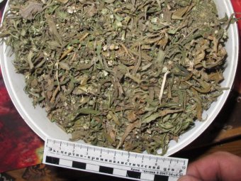 Саратовские наркополицейские изъяли около пяти килограммов марихуаны