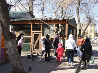 В сквере Дружбы народов судебные приставы начали демонтировать аттракционы и мини-зоопарк