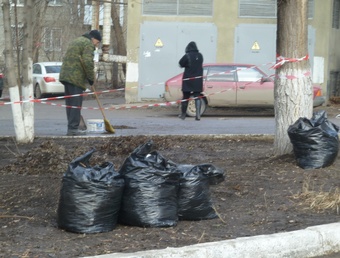 С начала апреля в регионе посадили почти полторы тысячи деревьев и ликвидировали 222 свалки