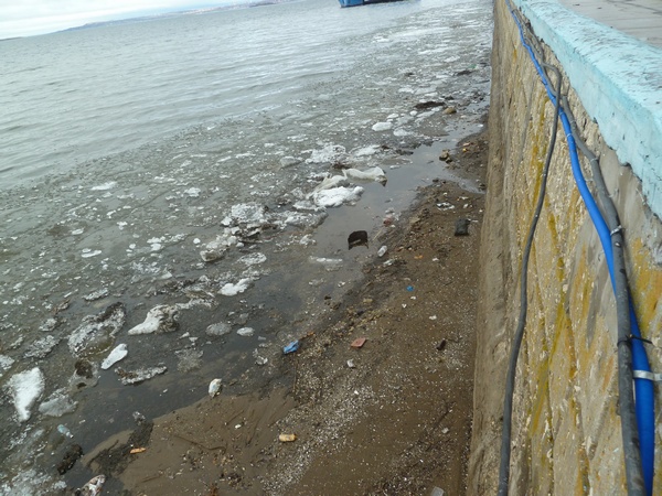 Валерий Радаев обеспокоен уровнем воды в Волге и нерестом промысловых рыб