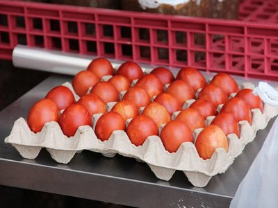 После Пасхи яйца на саратовских социальных ярмарках подорожали