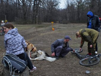 На Кумысной поляне прошли весенние старты «Crazy SledDog – 2015»