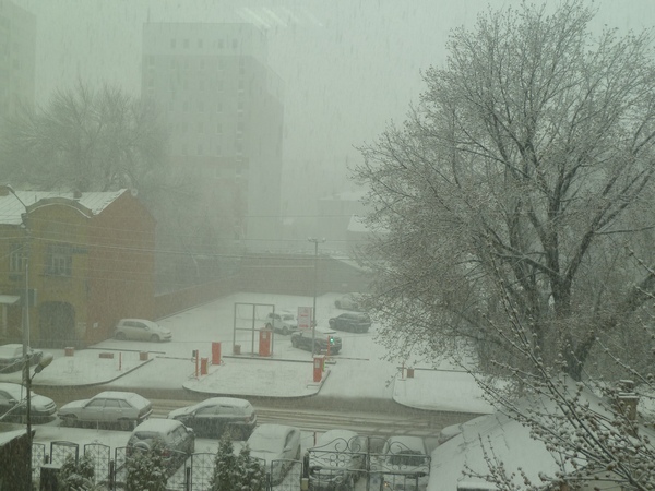 В Саратове снова началась снежная буря
