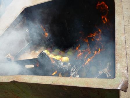 В Саратове сожгли 78 килограммов изъятых ранее польских яблок