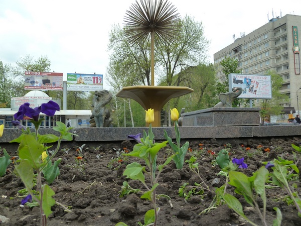 В Саратове пообещали высадить больше цветов, чем в прошлом году