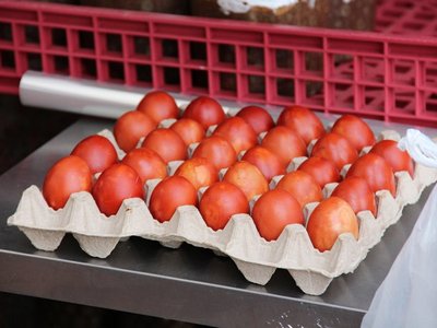 В Саратове цена на яйца и огурцы продолжает снижаться