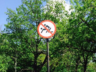 На Кумысной поляне появился дорожный знак о запрете заниматься сексом. Фото