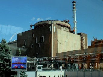 Балаковская АЭС ищет ликвидатора голубей и крыс с трехлетним стажем