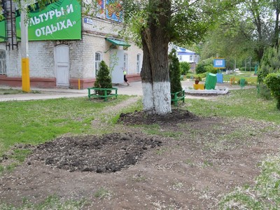 В Балакове перезахоронили найденные в склепе на территории детского парка останки