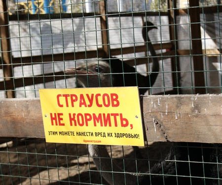 Владельцы мини-зоопарка в Заводском районе приглашают саратовцев «попрощаться с выселяемыми животными»