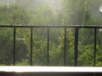 В Саратове ожидается понижение температуры и дождь