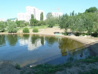 Эдуард Лимонов искупался на несанкционированном пляже под саратовским мостом 