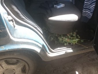 Под задним сидением машины балашовца нашли полтора килограмма маковой соломы