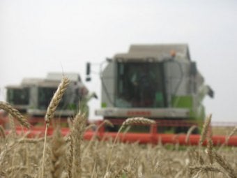 Экономист: Фермеры не хотят продавать зерно за рубли