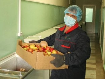 Уничтожение санкционных продуктов. Общественное мнение раскололось почти поровну