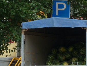 В Саратове нелегальный торговец арбузами пытался подкупить полицейского