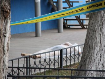 ЧП в Саратове. Мужчина упал с девятого этажа дома, оцепленного из-за угрозы взрыва