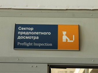 С начала года Россельхознадзор проверил в саратовском аэропорту более трехсот самолетов