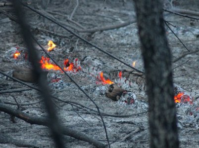 Пожары в Саратовском районе. Возник новый очаг возгорания