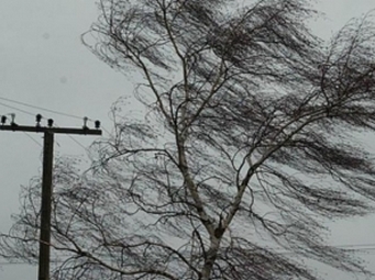 МЧС предупреждает о штормовом ветре в Саратове