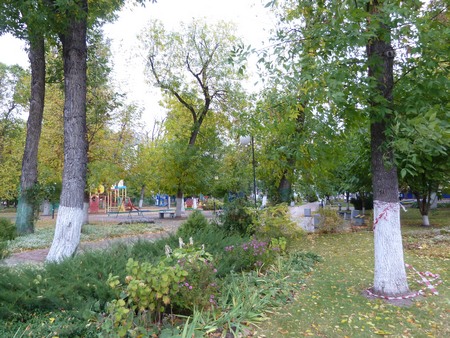 В Саратове воздух прогреется до 10 градусов выше ноля