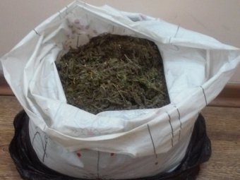 Два 14-летних подростка продали полиции более килограмма марихуаны