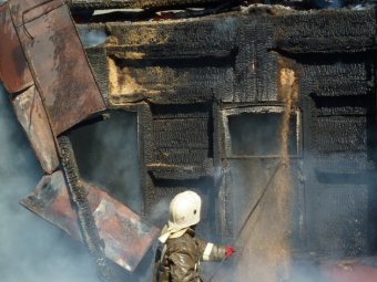 Энгельсит-долгожитель стал жертвой неосторожного обращения с огнем