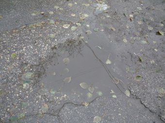 Местами по области вероятны дожди и мокрый снег