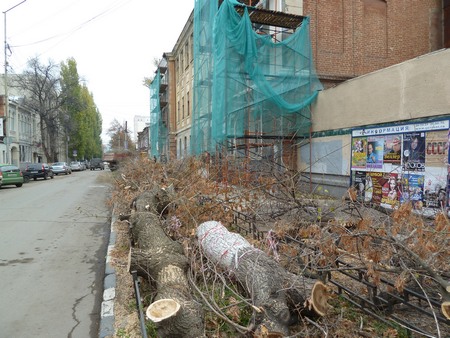 Перед зданием общежития, принадлежащего жене облдепа Сергеева, вырубили все деревья