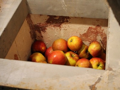 При попытке ввоза в Саратовскую область сожгли контрабандные яблоки