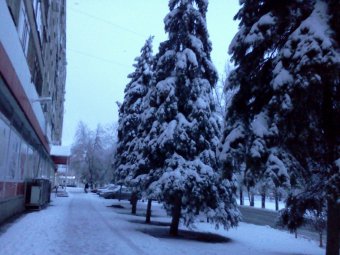 В Саратове ожидается около ноля градусов, южный ветер и снегопад